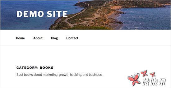 如何在 WordPress 中显示分类栏目描述-科科网络