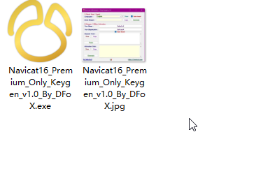 图片[4]- Navicat Premium for Win v16.0.13 完美激活版附激活工具