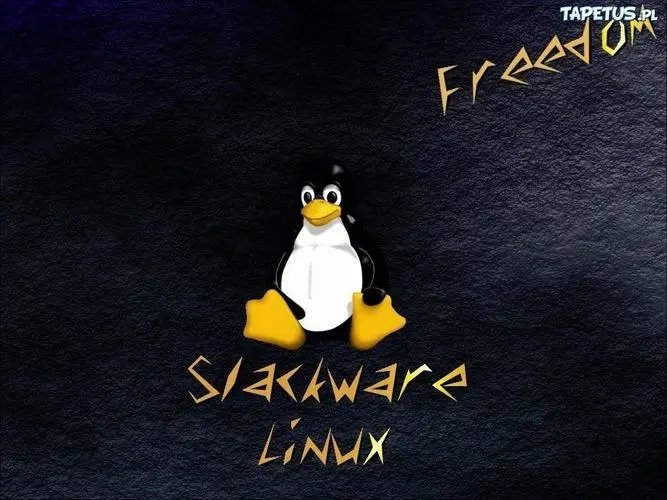 Linux下的TCP测试工具