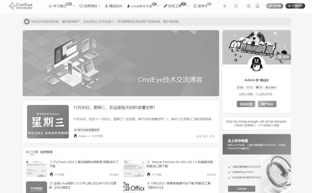 图片[1]-WordPress网站全站变灰教程包含全站图片变灰-CmdEye技术交流博客